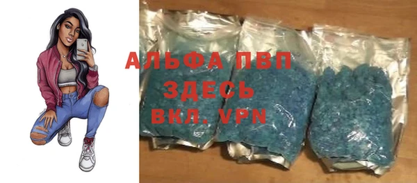 винт Арсеньев