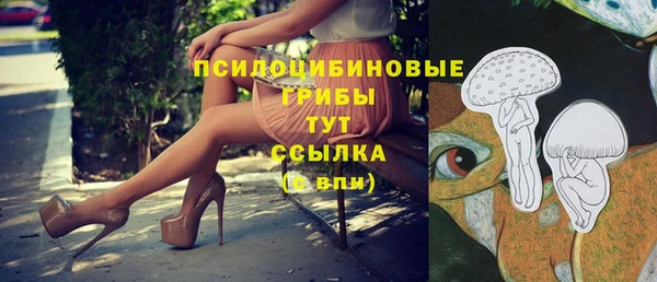 винт Арсеньев